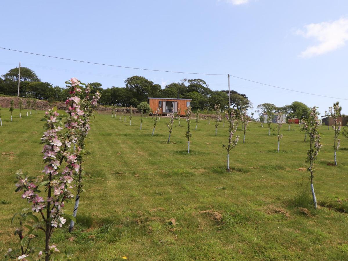 Casa vacanze Little Pip Penzance